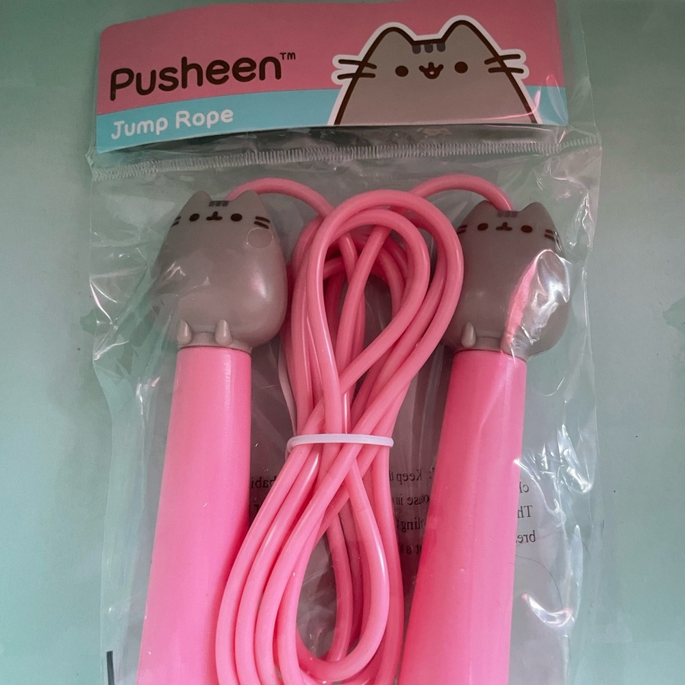 Spring 2019 Pusheen Box items